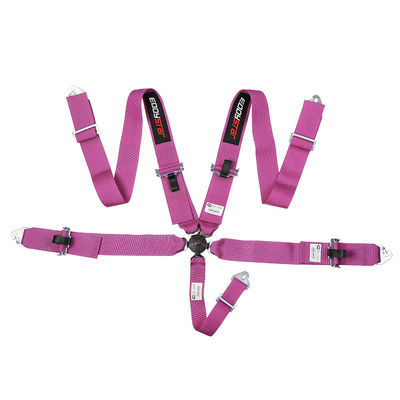 EDDY Purple 5 Point Racing Seat Belt Harness SFI Certificate For Race Car